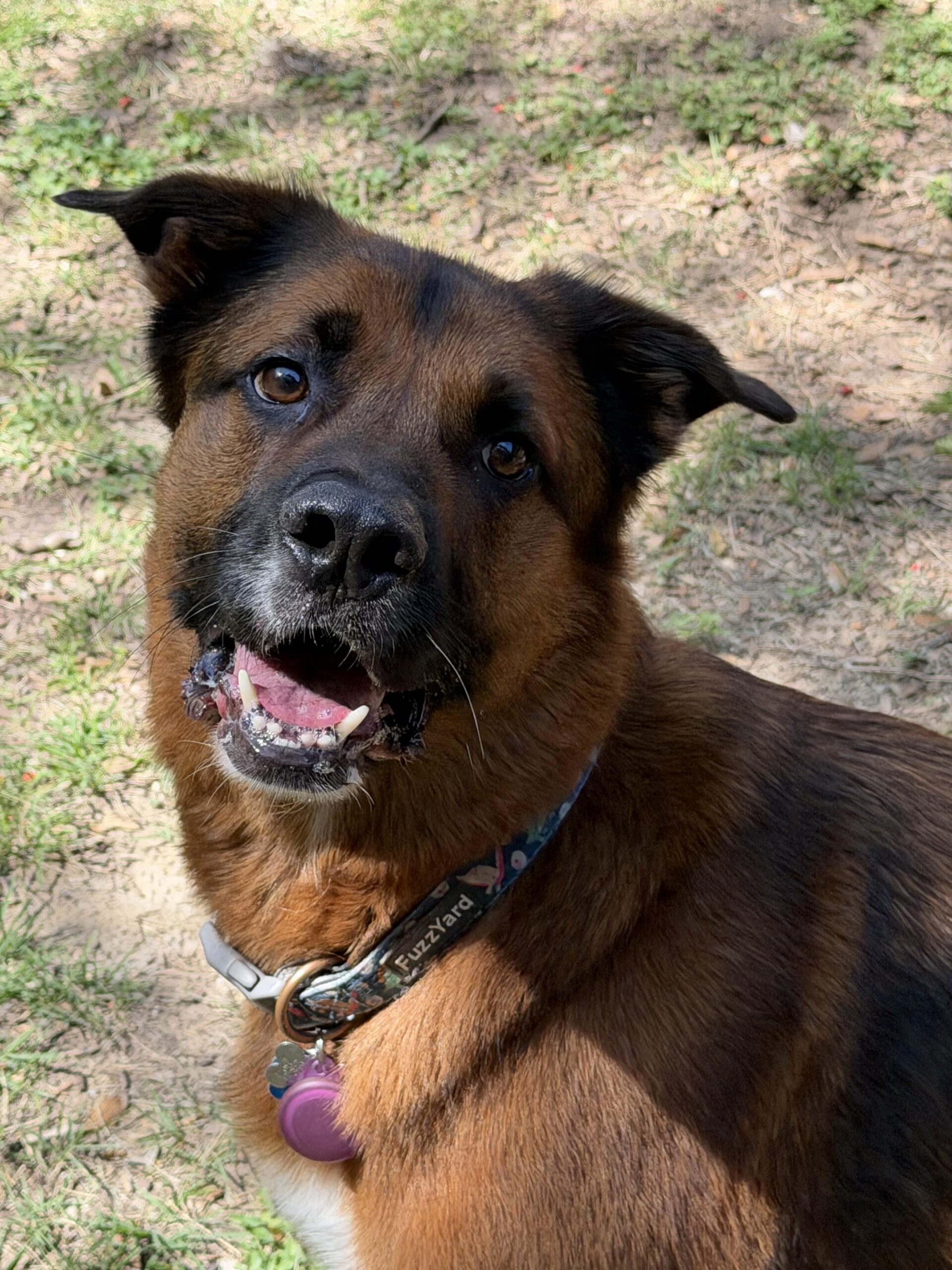 Samson